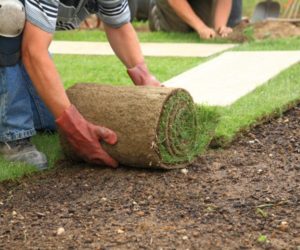 Turf laying services westmidlands
